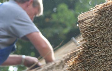 professional Pilleth thatchers